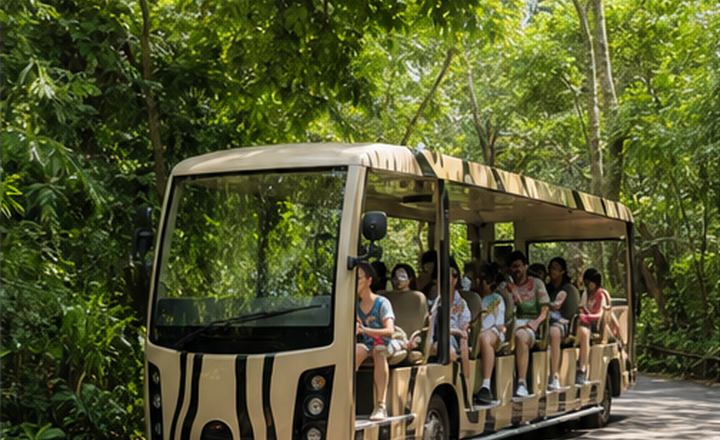 Zoo tram rides